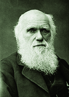 Darwin Charles