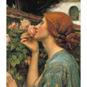 Bunston de Bary Anna 