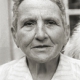 Stein Gertrude