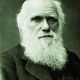 Darwin Charles