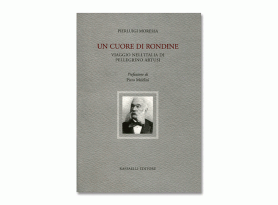  Un cuore di rondine 