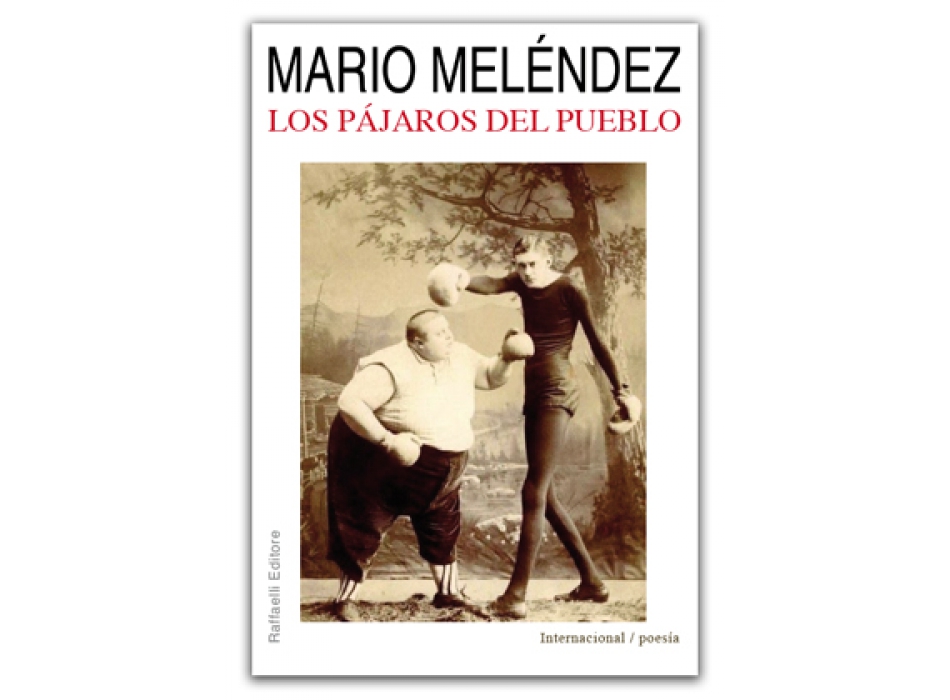 Los pajàros del pueblo