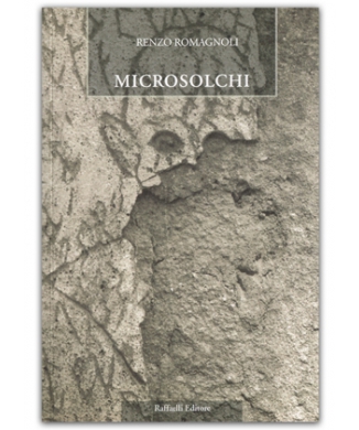 Microsolchi