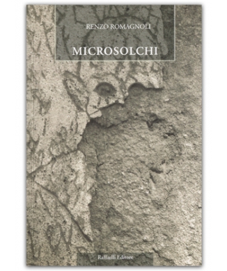 Microsolchi