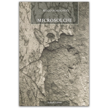 Microsolchi