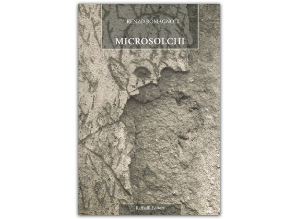 Microsolchi