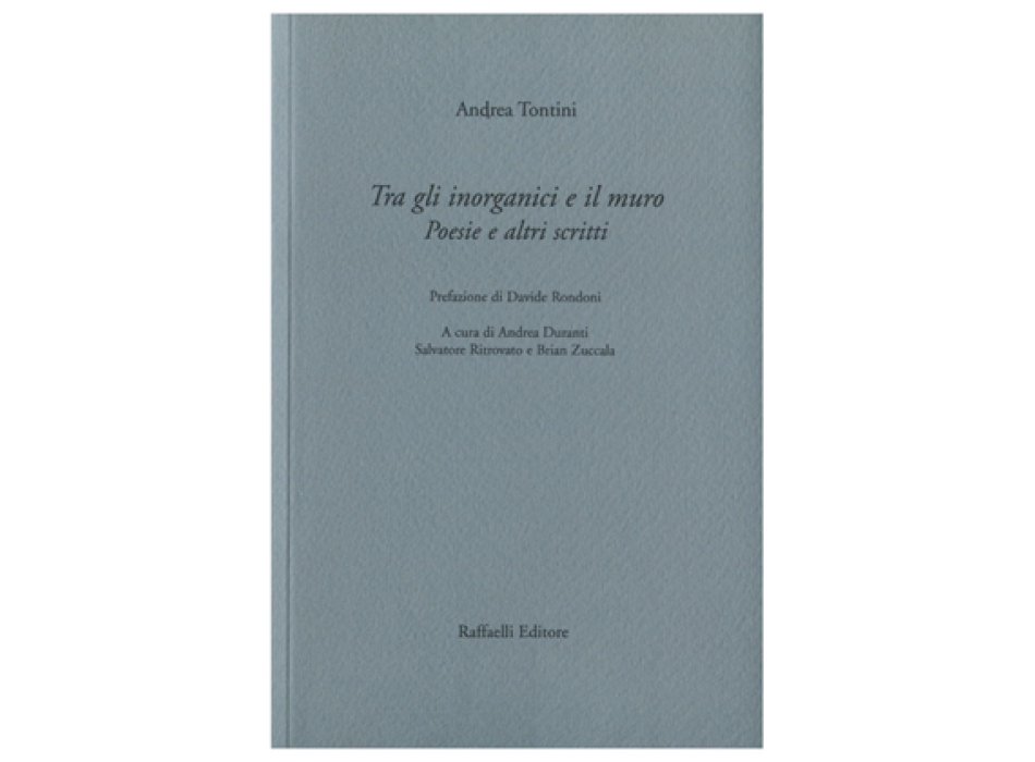 Tra gli inorganici e il muro