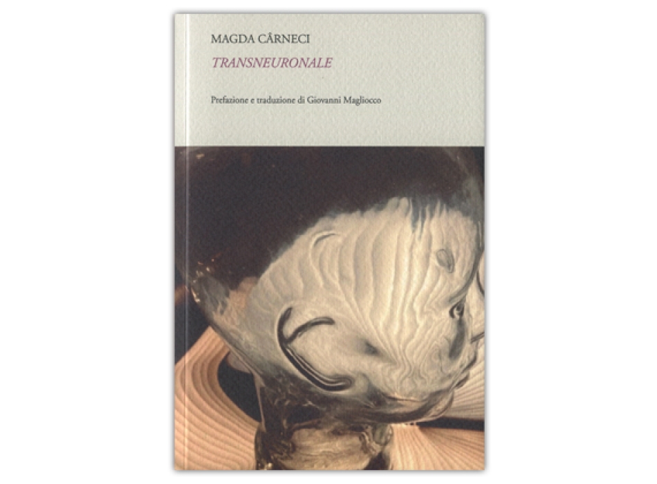 TRANSNEURONALE