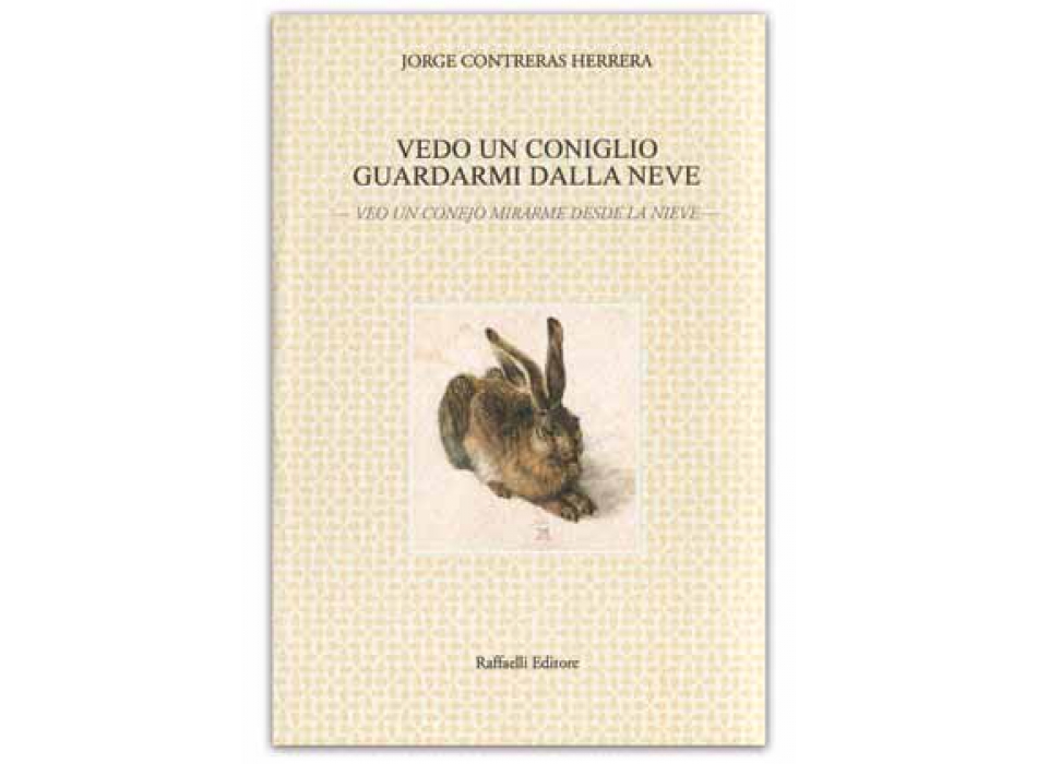Vedo un coniglio guardarmi dalla neve